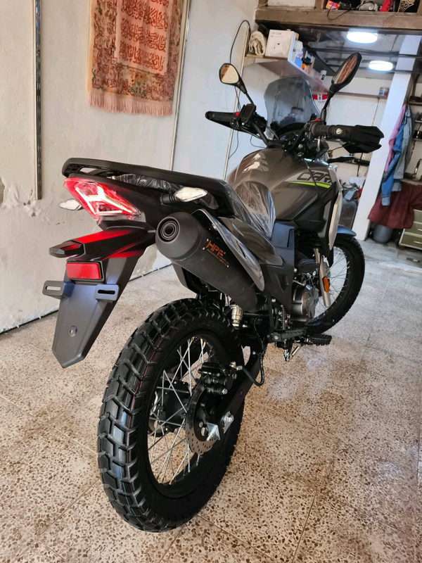 جبلي البدوي 250cc