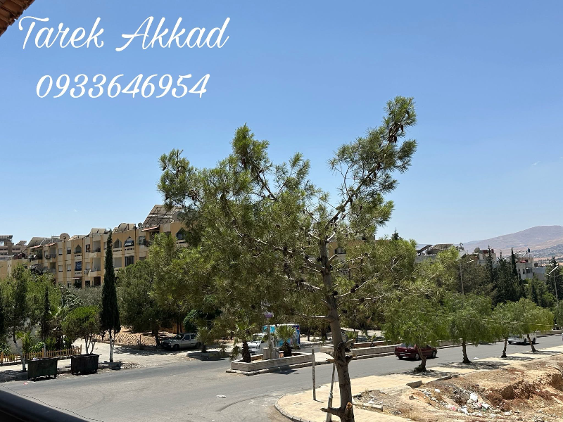 شقة للبيع في ضاحية قدسيا 130م² 3 غرف طابق 1 بسعر مغري