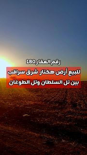 للبيع أرض هكتار شرق سراقب بسعر 60,000$ طابو نظامي