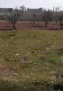 أرض زراعية 150م² للبيع في فيروزة حمص بسعر مغري