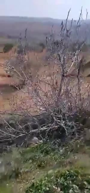 أرض زراعية زيتون للبيع في أريحا 6720 م² على طريق إدلب
