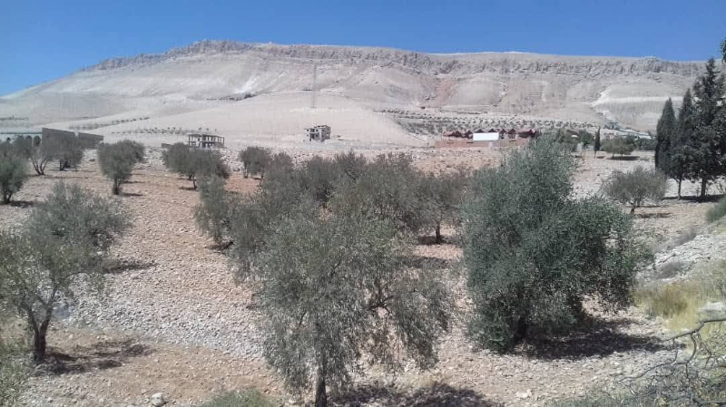 أرض استثمارية للبيع في معرونة ريف دمشق 6000 م² بسعر مغري