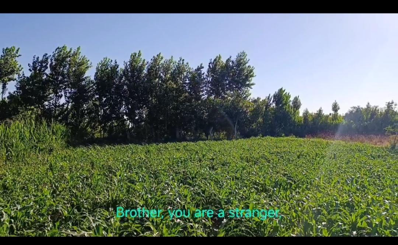 للبيع أرض سياحية 450م² في المليحة بسعر 22 مليون ل.س