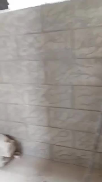 للبيع بيت ببيلا ع شارع العام طابق رابع كسوة سوبر ديلوكس طابو اخضر