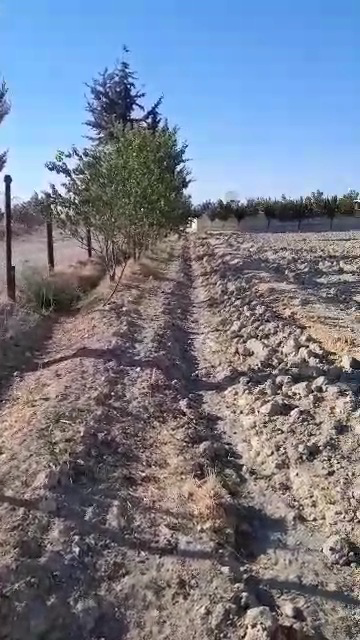 للبيع ارض طريق المطار جسر 5 طلبو اخضر 3دنم