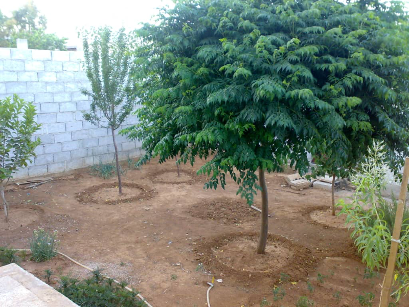 للبيع بيت عربي داخلي بمعضمية الشام الحي الشرقي مساحة 205 متر