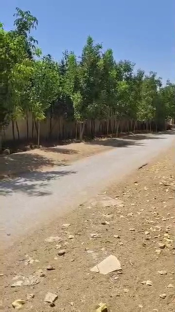 ڤيلا سكنية للبيع 4دنم طريق لمطار دمشق طابو اسجار مثمرا مسابح كاملا