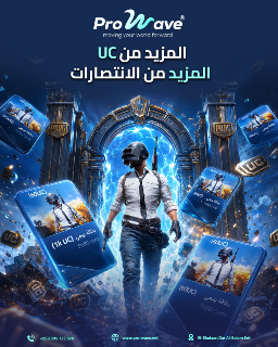 بطاقات برو ويڨ - ببجي 50$ (3850UC)