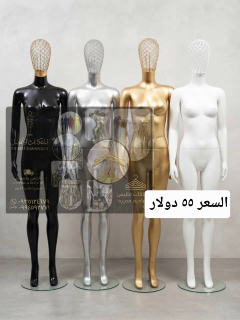 القالب الاجمل ول افضل للعرض