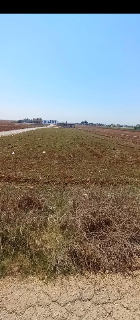 ارض للبيع مساحه 3 دونمات الموقع طريق مندرين