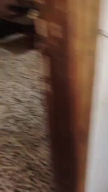 شقة للبيع حمص جنب كازيه دراق السباعي