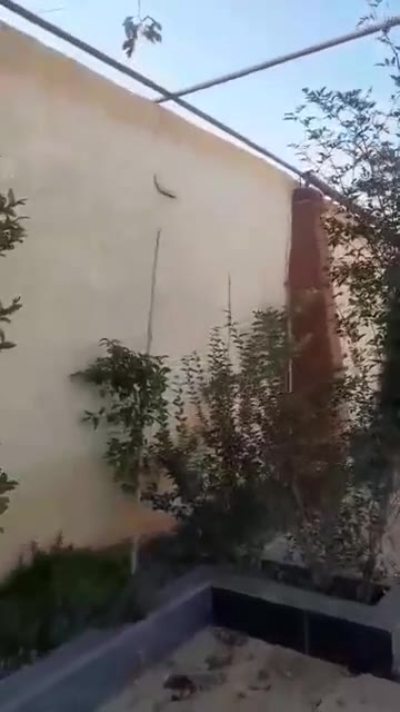 عرض فيلا حلو وبسعر حلو ٨٥٠ متر