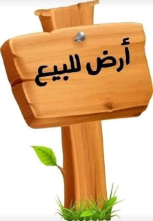 ارض في مصيف صلنفة جاهزة للبناء فورا