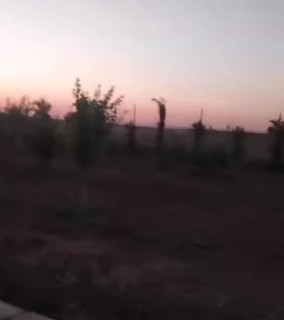 مزرعة للبيع ٣ دنم جاهزة ومشجرة /القامشلي _تل فارس