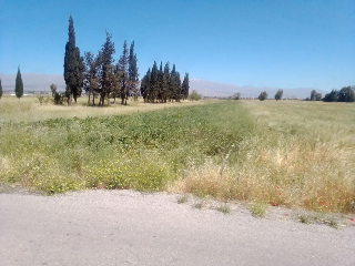 6دونمات طابو اخضر على شارع معبد للبيع