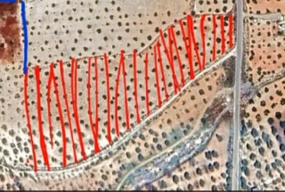 أرض زراعية للبيع على طريق ادلب فيلون