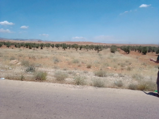 27دونم قطنا طريق عرنة طابو اخضر للبيع