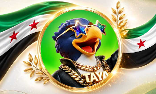 شحن Taya Chat عبر شام كاش أسعار جملة