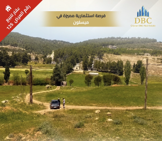 العرض رقم 125-ارض للبيع في ميسلون ،ريف دمشق ،فرصة استثمارية