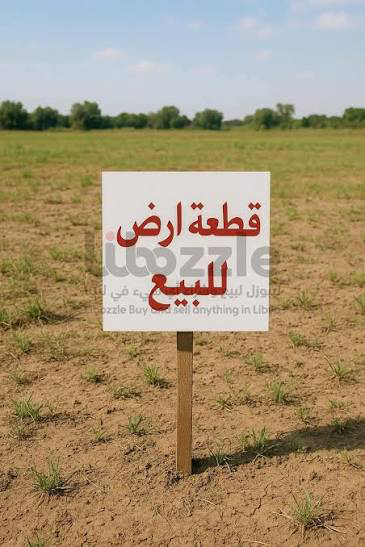 السلام عليكم يوجد 6قصبات للبيع في عرطوز الضهره