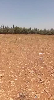يوجد لدينا ارض مساحه 60 دونم الموقع الاوراس طابو اخضر