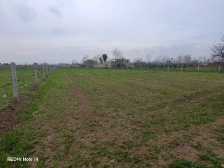 أرض زراعية للبيع في زبدين ريف دمشق - 2800 م² بسعر مغري