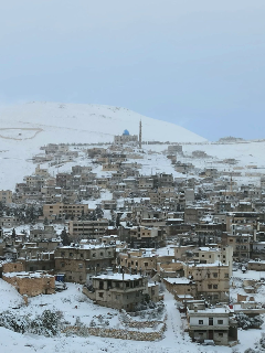 ارض زراعية ١٤ دونم برنكوس منطقة ارفلا عمر الشجر ٤٠سنة تفاح كرز مشمش