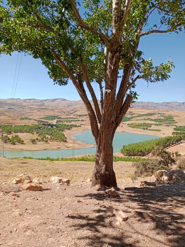 بيع أرض سياحية بإطلالة رائعة في بحيرة زرزر - ريف دمشق