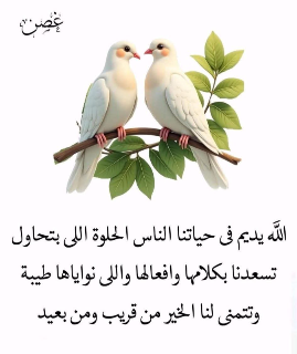 *إشراقة*  مع القُـرآن يُزهر كل شيء...💓  ‏وأوّل الأشيـاء قلبُـك💕