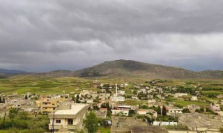 للبيع بستان عمر الشجر ٢٠ سنة مع بير مياه وطاقة في مزرعة دير العشاير