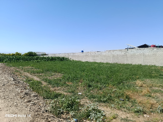 أرض زراعية للبيع في زبدين بريف دمشق 650 م² بسعر 22 ألف دولار