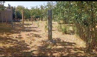 للبيع نصف دنم أرض زراعية في يعفور - موقع مميز بريف دمشق