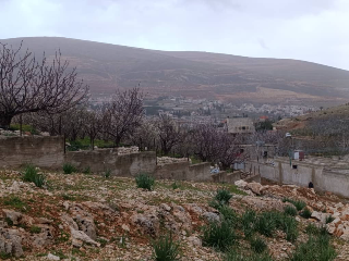 أرض للبيع في مضايا