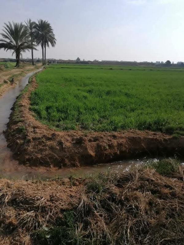 ارض للبيع 
بريف دمشق 
بدير العصافير 
سعر لارض الكلي 90الف دولار