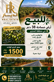 ارض زراعيه للبيع في حمص مزروعة زيتون🌳