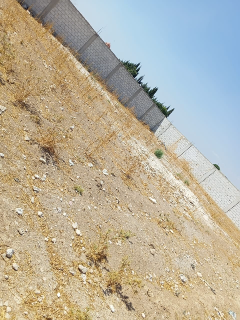 للبيع 800 م