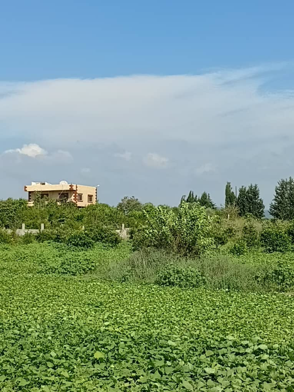 أرض سكنية للبيع في عين البيضا، اللاذقية - 8000 م²