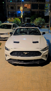 mustang 2019
نظافة 100%
قطعتين بويا 
165km. الف