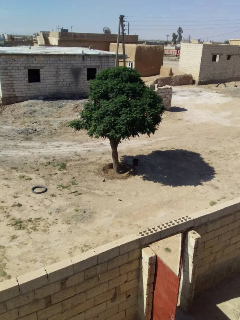 أرض سكنية 703 م² في الرقة – تل أبيض، حمام التركمان الشمالي