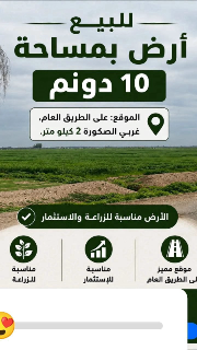 أرض للبيع غربي الصكورة – 10 دونم