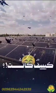 مانع الطيور لألواح الطاقة الشمسية