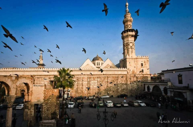 دليل سياحي موثوق في دمشق