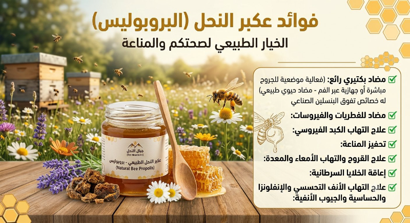 جميع انواع العسل ومنتجاته: عكبر،غذاء الملكات،غبار الطلع،شهد العسل