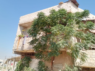 أبنية للبيع في عربين ريف دمشق بسعر 150,000$