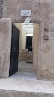 شقة للإيجار مفروشة في برزة بدمشق خلف مول قاسيون