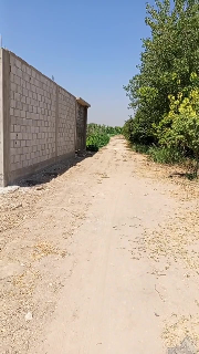 للبيع 2500م² طابو أخضر في غوطة الشرقية ريف دمشق بسعر 39000$