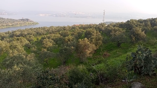 مزرعة للبيع بإطلالة بانورامية في طرطوس - 6720 م²